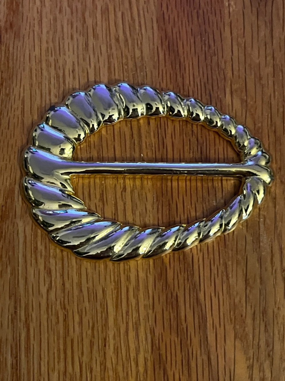 Gold-Tone Oval Rope-Edge Belt Buckle